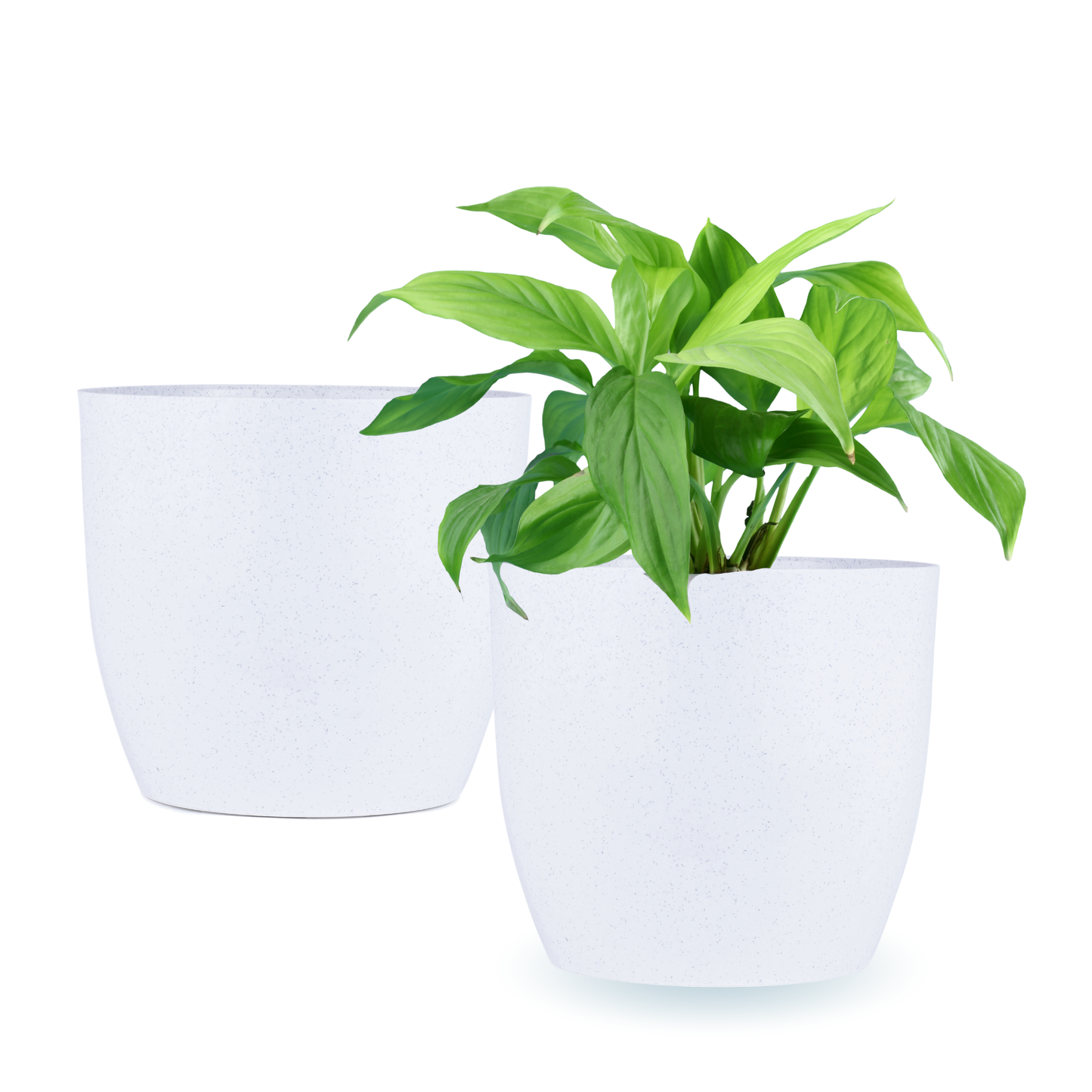 White Pavo Classic Planter
