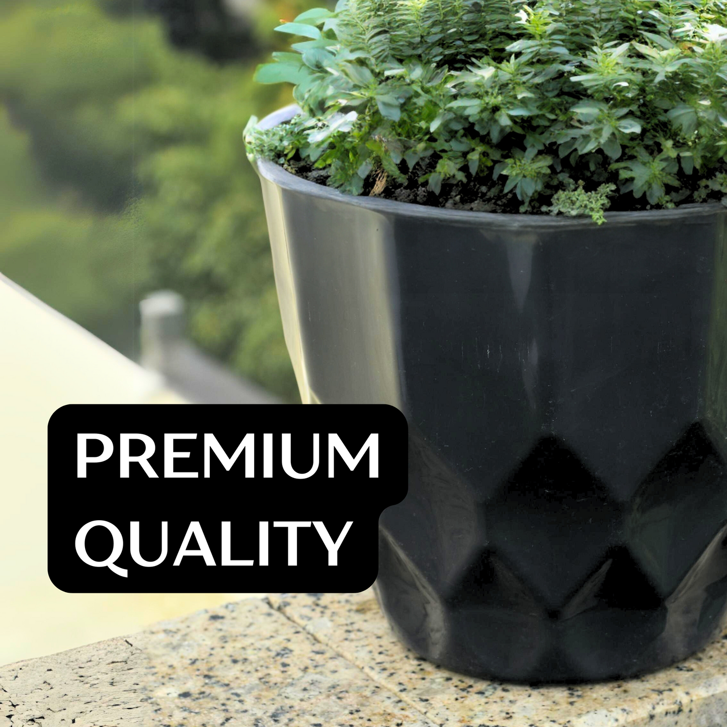 Yellow Zeta Cool Pot