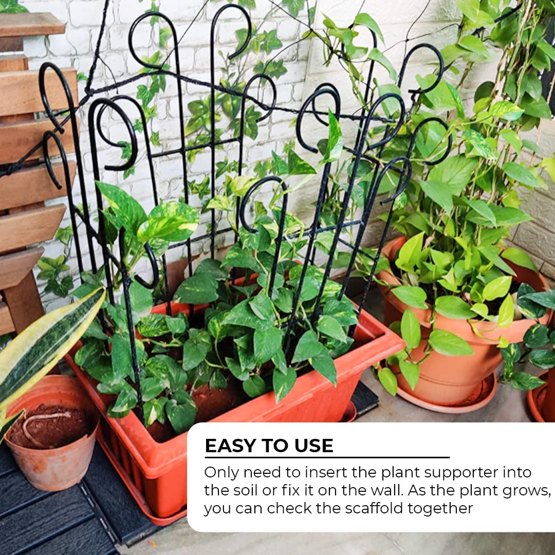 Plant Support Climber Garden Trellis