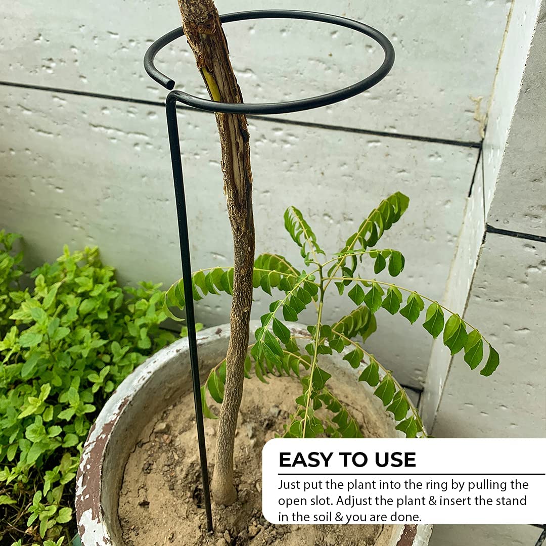 Metal Stem Climber Plant Support Garden Round Trellis