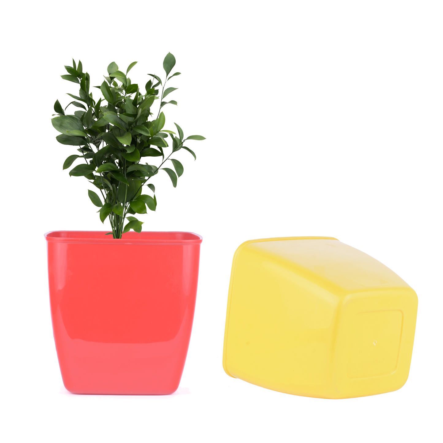 White dotted Nova Galaxy Pot